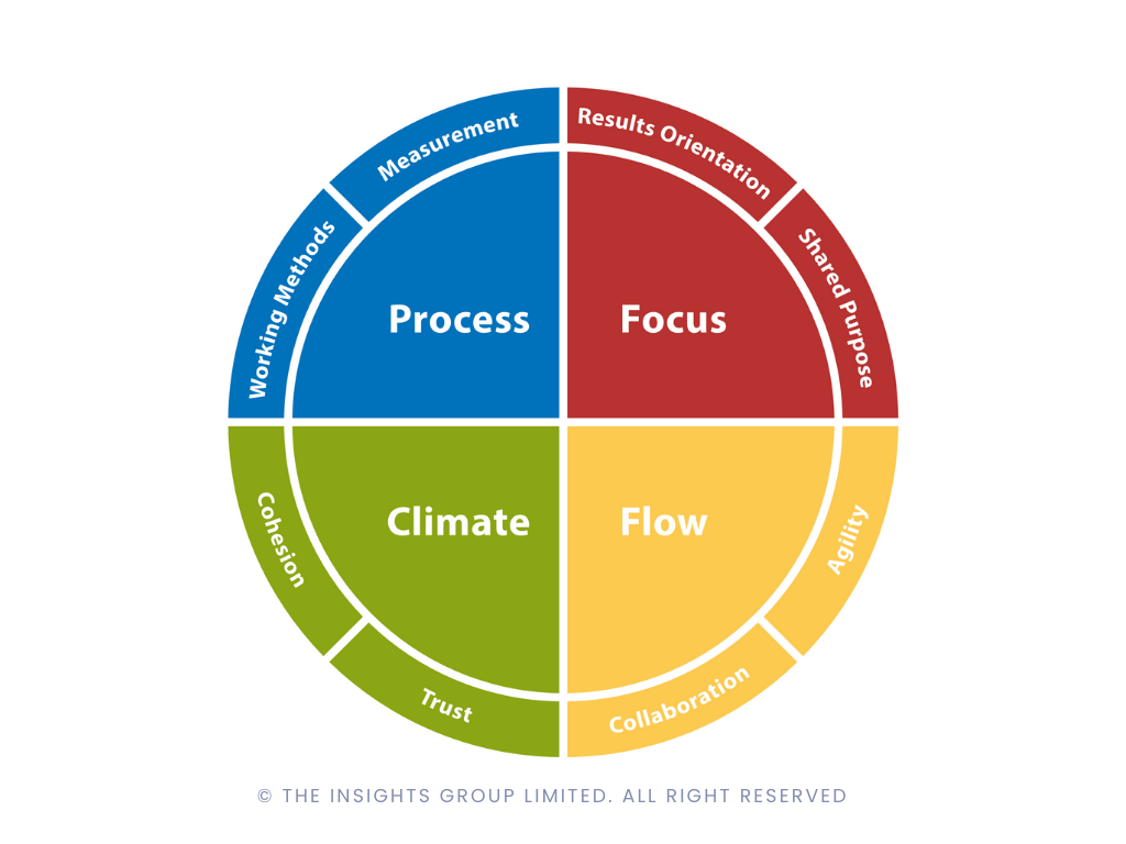 team_performance_assesment_victus_people